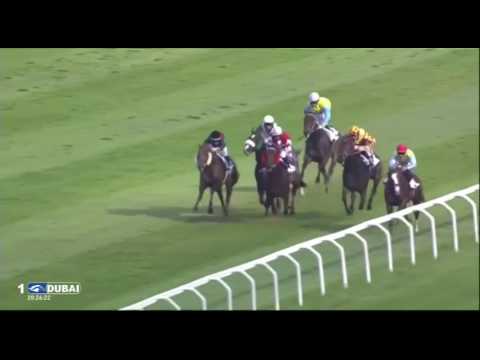 2016.10.16 Premio Omenoni (ITA) - Intense Life