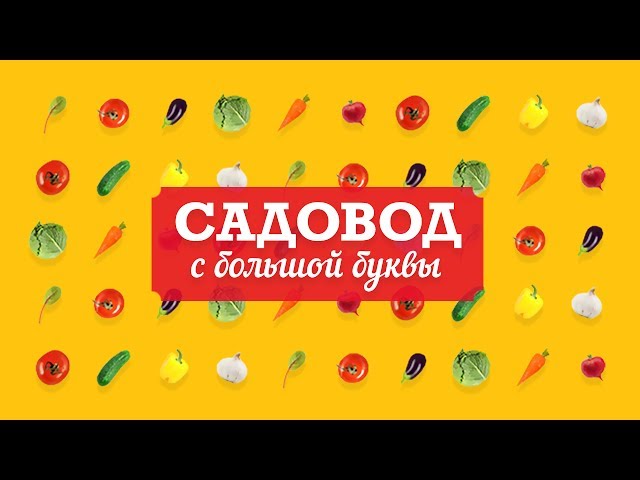 Частушки огородные