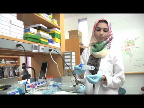 The Whole Tooth, And Nothing But The Tooth