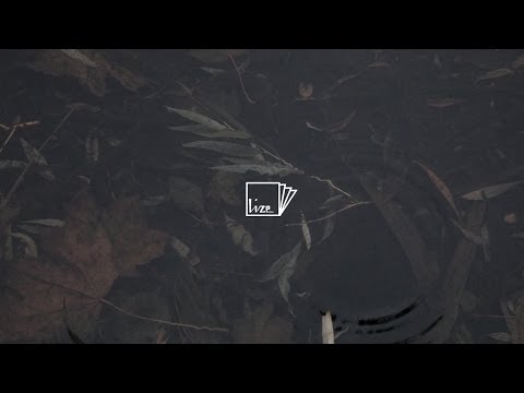 Isherwood - o o 3 [The Situationist EP] LIZE001 - Official Video