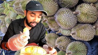Indian Eating Durian | World's Smelliest Fruit | Vlog In Hindi