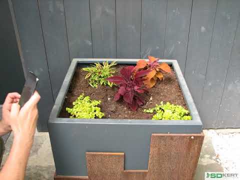 Egynyári virágok ültetése növénytartóba