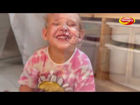 Łoś Śmieszek Dumel Discovery