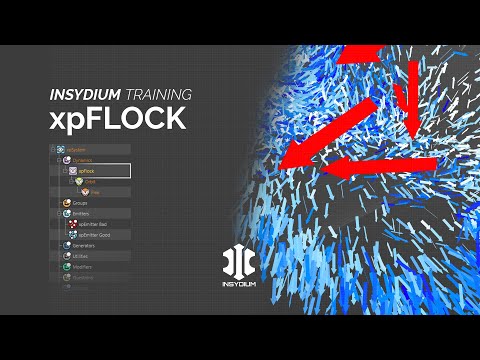 INSYDIUM Training - xpFlock