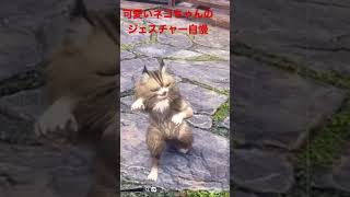 アイルーの可愛いジェスチャー5選！その1