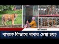 চিড়িয়াখানায় বাঘ সিংহকে যেভাবে খাব