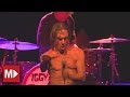 Iggy and the Stooges | Beyond The Law | Live in Sydney