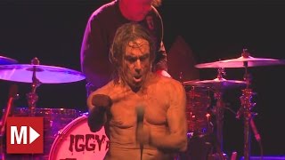 Iggy and the Stooges | Beyond The Law | Live in Sydney