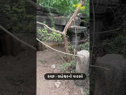 કચ્છનાં ભદ્રેશ્વરમાં આવેલ શેઠ જગડુશાનાં નામે જાણીતી જગ્યાની આવી હાલત કેમ ? #kutch #Bhadreshwar