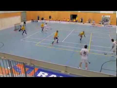 Salibandy: LeBa - ÅIF 16.01.2010