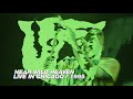 R.E.M. - Near Wild Heaven (Live in Chicago / 1995 Monster Tour)