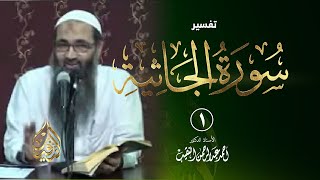 صورة تفسير سورة الجاثية - أ.د أحمد النقيب