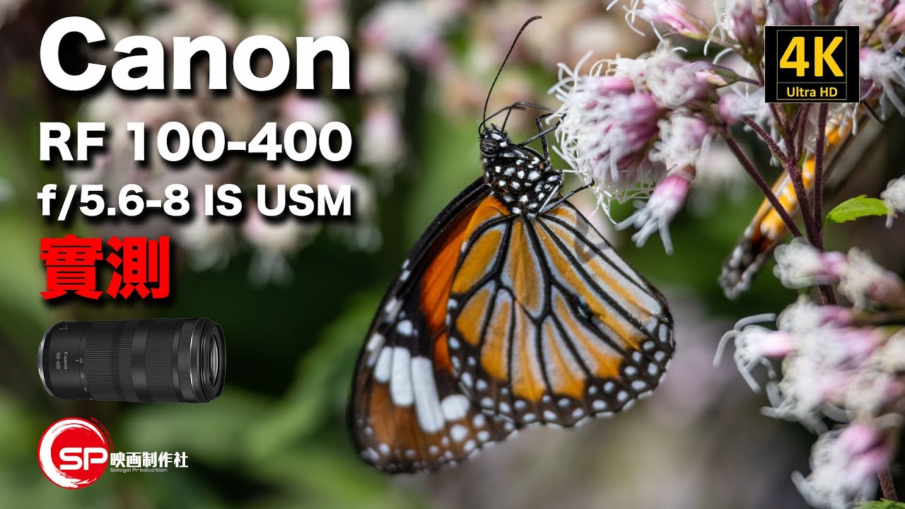 【攝影跌貨王】Canon RF 100-400mm f/5.6-8 IS USM 實測