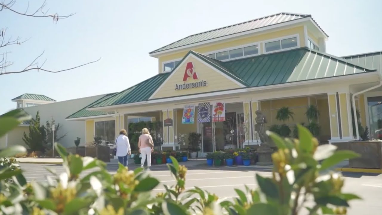 Welcome to Anderson's! (2024)