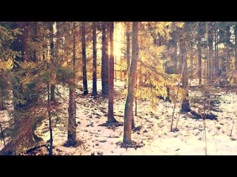 Ivy Lab feat. Frank Carter III - Oblique VIP [FREE DOWNLOAD]