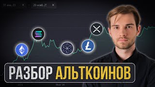 Итоги БЫЧЬЕГО Рынка: Разбор Альткоинов thumbnail