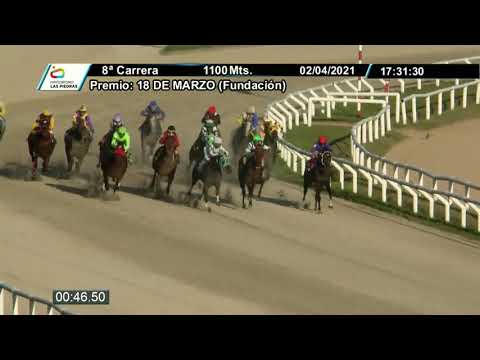 210402 c08 - EDITORIALISTA - HIPODROMO LAS PIEDRAS