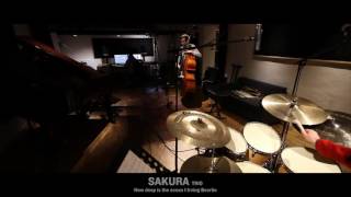 Sakura Trio | How deep is the ocean