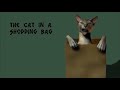 Moon Raven Tales The Cat In The Shopping Bag