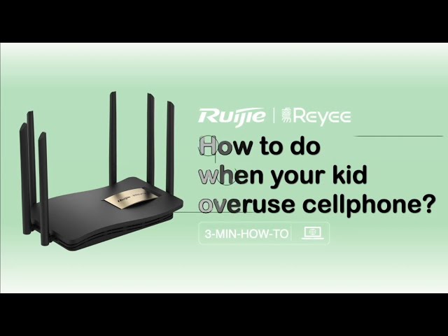 Wifi Router - Ruijie RG-EG210G-P Router Service Provider from Coimbatore