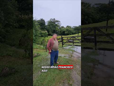 IRMÃO FRANCISCO 72 ANOS MORA EM RIBEIRÃO BONITO SANTO ANTÔNIO DA PLATINA PR 🇧🇷 #sitio #fazenda
