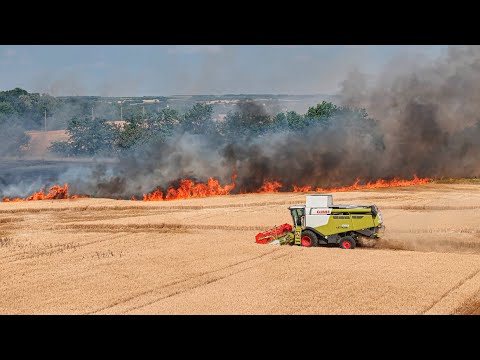 FIRE Barley Field (Harvest 2025 Hungary)
