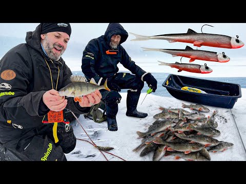 Nyt purasi - Ahvenen pilkintää uutuusjigillä - Jasu Puru
