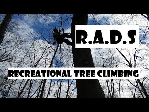 RADS / YOYO Recreational Tree Climbing (Rapid Ascent Descent System)