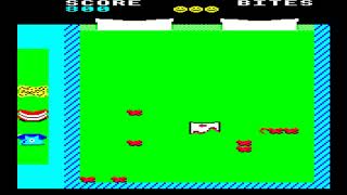 Bed Bugs for the BBC Micro