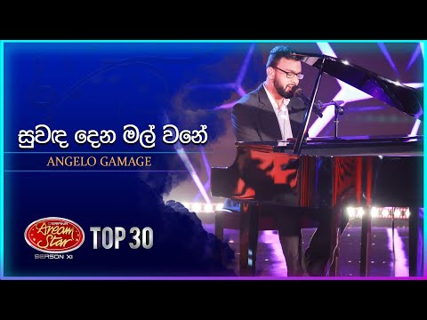 Suwanda Dena Mal Wane (සුවඳ දෙන මල් වනේ) | Angelo Gamage | Dream Star Season 11 | TV Derana