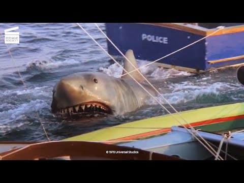 Jaws 2: Brody to the rescue HD CLIP