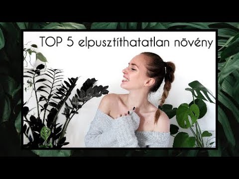 hogy az adrenalin hogyan befolyásolja a látást a látásélesség vizsgálatának jellemzői