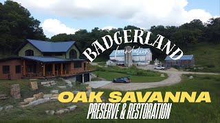 Visiting Badgerland Foundation - Wild Oaks Preserve!! Prairie land and Savanna Restoration!