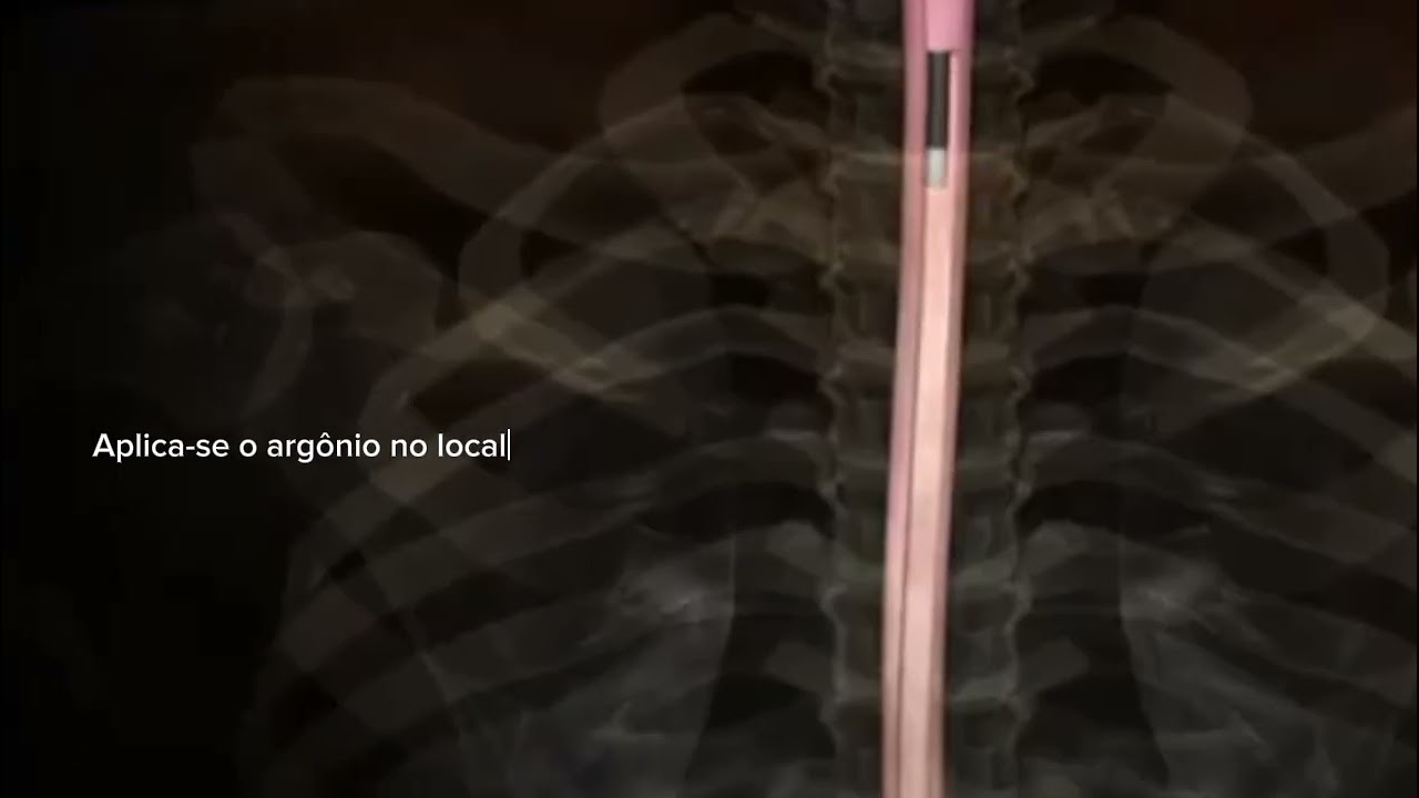 Fábio Miranda Ribeiro-23