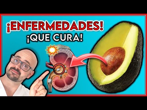 9 DISEASES that can be CURED with AVOCADO SEED || THIS IS HOW YOU SHOULD CONSUME IT!