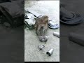 Shaadi Karke Phas Gaya Yaar Youtubeshorts Rishi Youtubeshort Youtube Dj Music Djmix