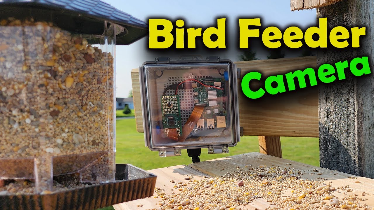Raspberry Pi Bird Feeder Camera That Sends Wildlife Motion activated Alerts!