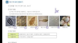 [초등과학 4-1 무료강의] 2. 지층과 화석 ⑤ 여러 가지 화석을 관찰하고 분류해 볼까요?