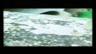 Bluebottle Kiss - Ounce of Your Cruelty