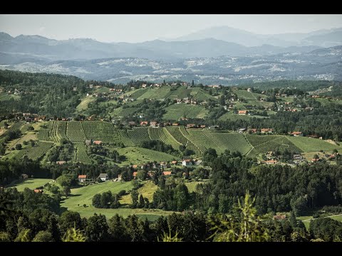 Weinbaugebiet Weststeiermark