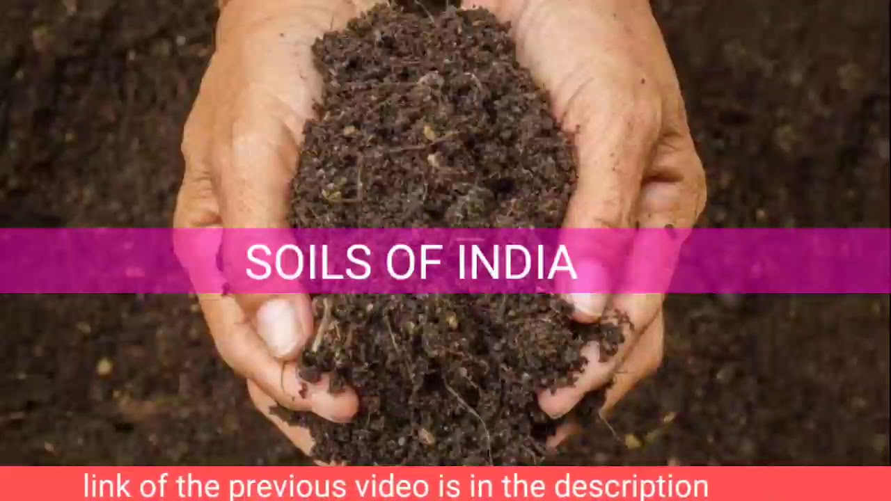 ICSE CH5 SOILS OF INDIA FINAL PART. SOIL EROSION AND CONSERVATION