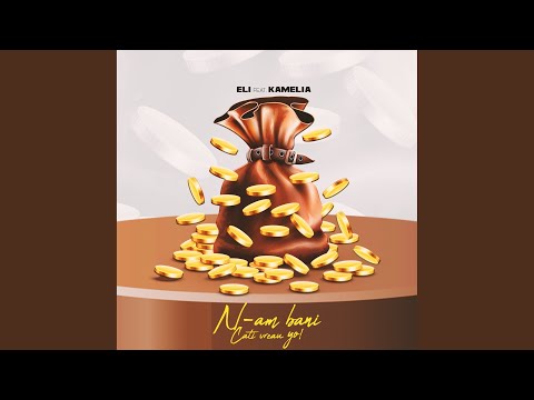 N-Am Bani Cati Vreau Yo! (feat. Kamelia)