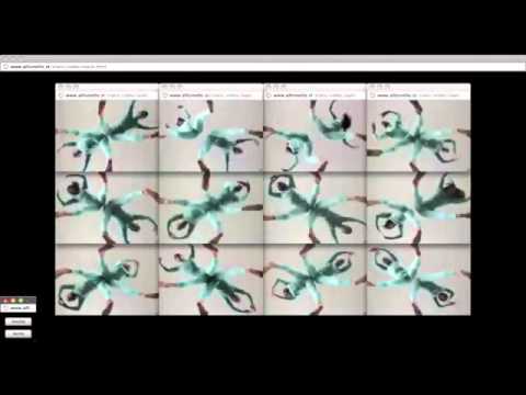 'Ok go-All is not lost', de Hakuodo Tokyo para Google Chrome