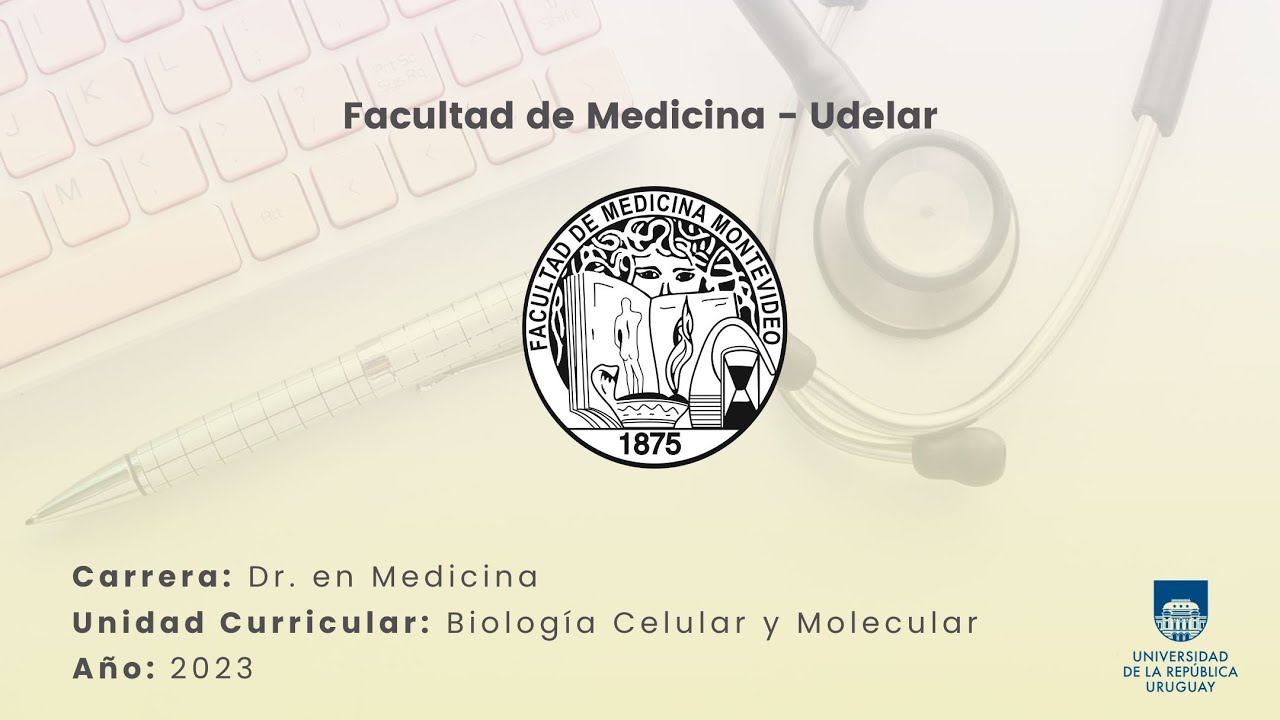 Síntesis de ácidos grasos