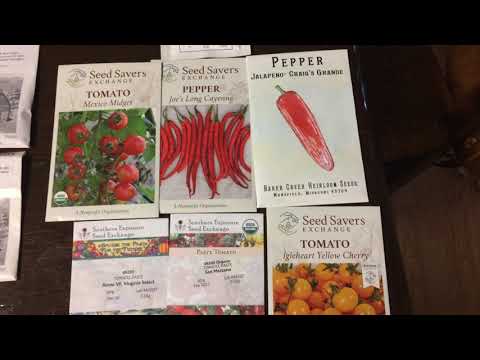 download lagu mp3 mp4 What To Plant In Central Florida In September, download lagu What To Plant In Central Florida In September gratis, unduh video klip What To Plant In Central Florida In September