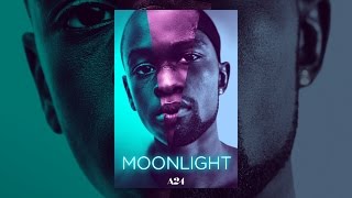 Dish from Moonlight