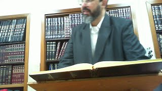 הרב מאור קדוש - טלטול בעלי חיים, מזון ומשחקים בשבת - שולחן ערוך אורח חיים סימן שח