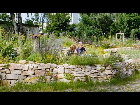 NaturGarten e.V. - Wilde Pflanzen in Städten und Gärten