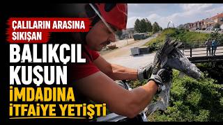Çalıların Arasına Sıkışan Balıkçıl Kuşun İmdadına İtfaiye Yetişti