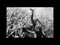 Crystal castles - She fell out 